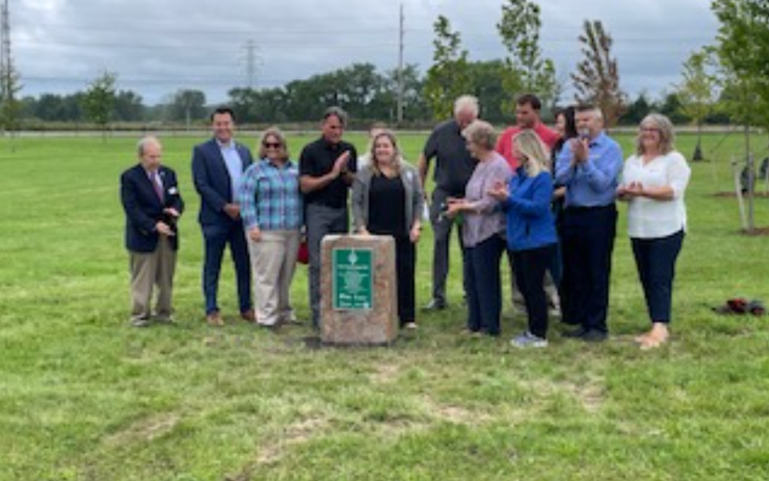 Pollard Park Preservation